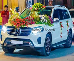 Toyota Fortuner Decorated SUV